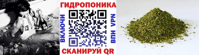 Каннабис OG Kush  Купить где  Нарьян-Мар 